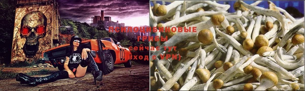 ECSTASY Каменка