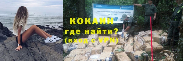 стафф Каменногорск