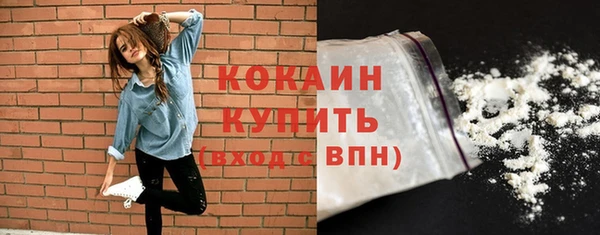ECSTASY Каменка