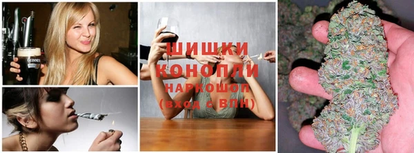 стафф Каменногорск